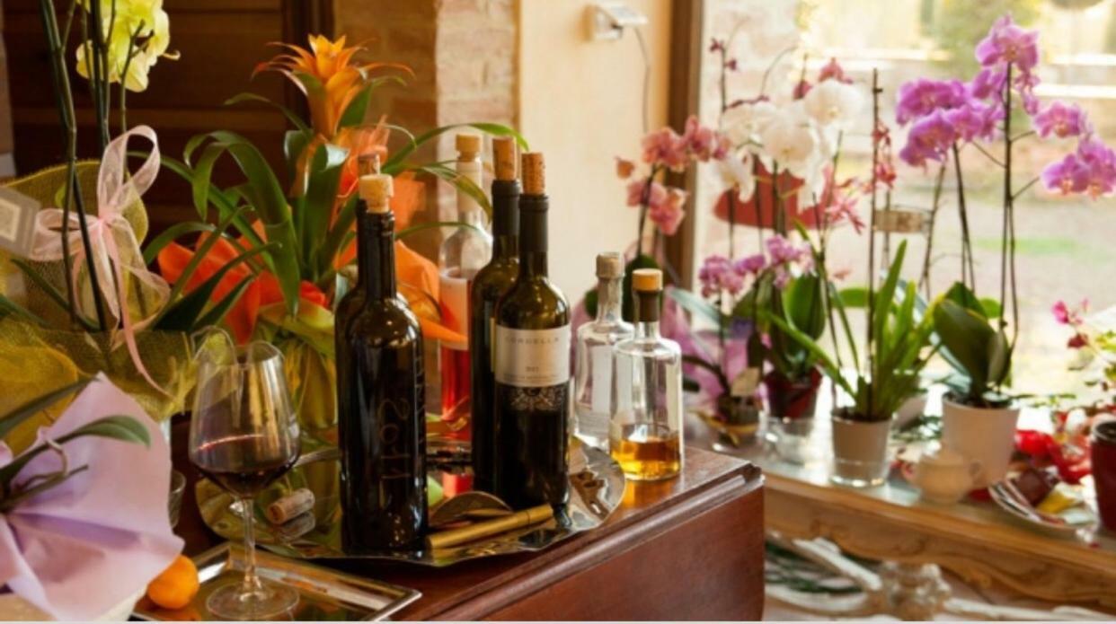 Cordella In Montalcino Wine Resort Eksteriør billede